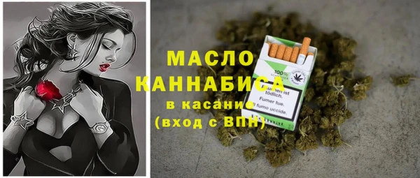 spice Няндома